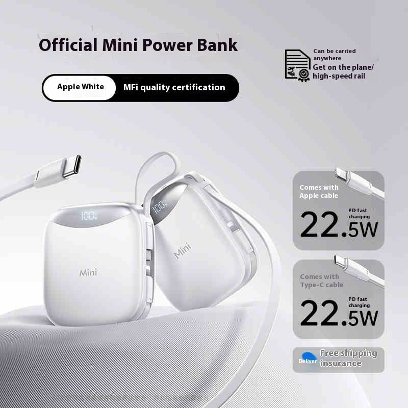 10000mAh Power Bank - Wholesale Electronics