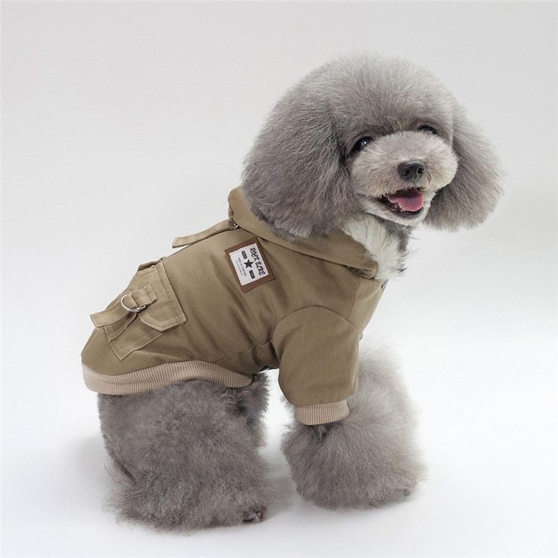 Cap dog coat - Wholesale Electronics