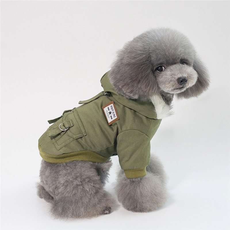 Cap dog coat - Wholesale Electronics