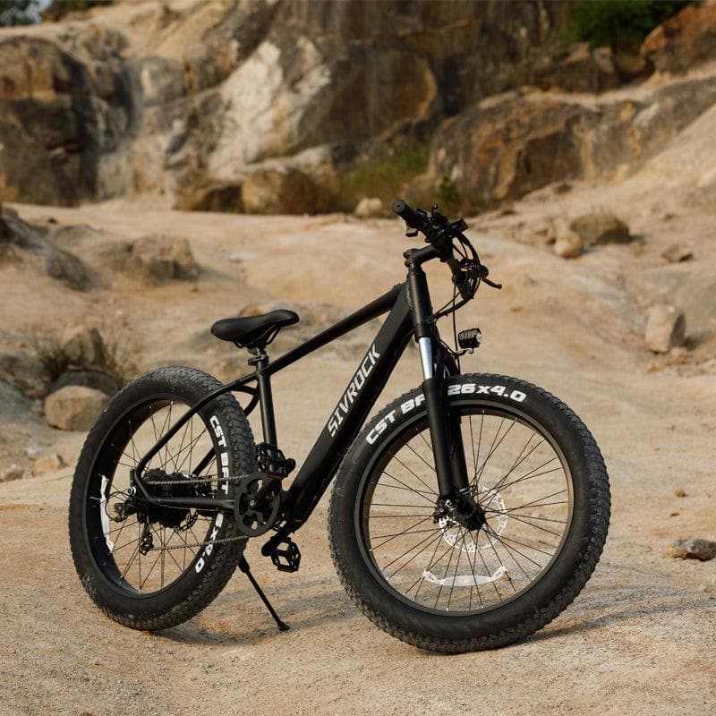 Electric Bike, 26 X 4.0 Inches Fat Tires, 1000W - 48V/15Ah - Wholesale Electronics