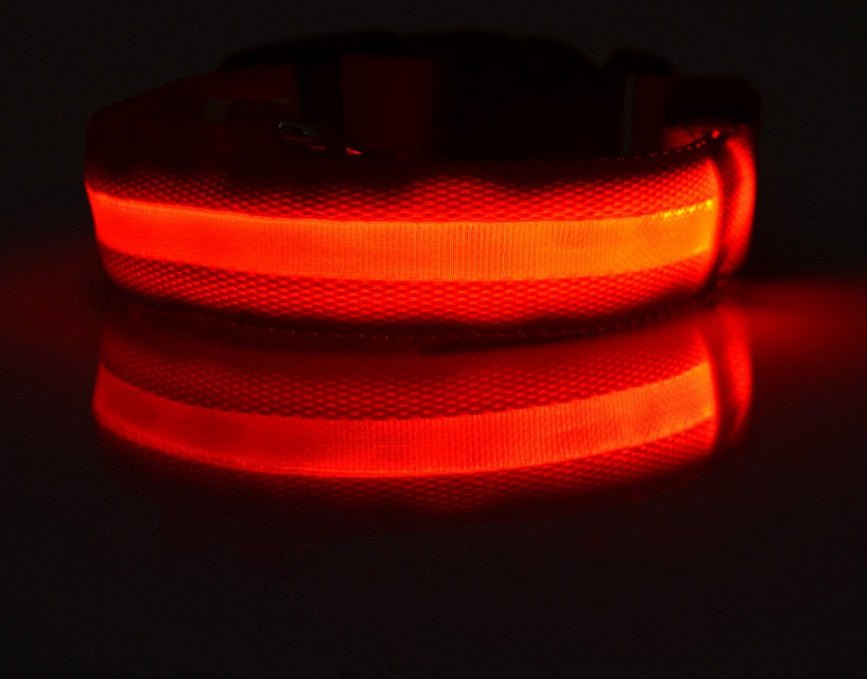 Luminous Dog Collar - Wholesale Electronics