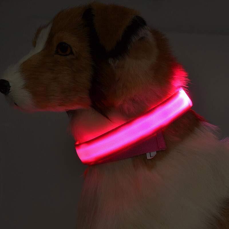 Luminous Dog Collar - Wholesale Electronics