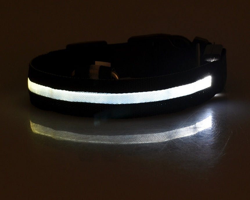 Luminous Dog Collar - Wholesale Electronics