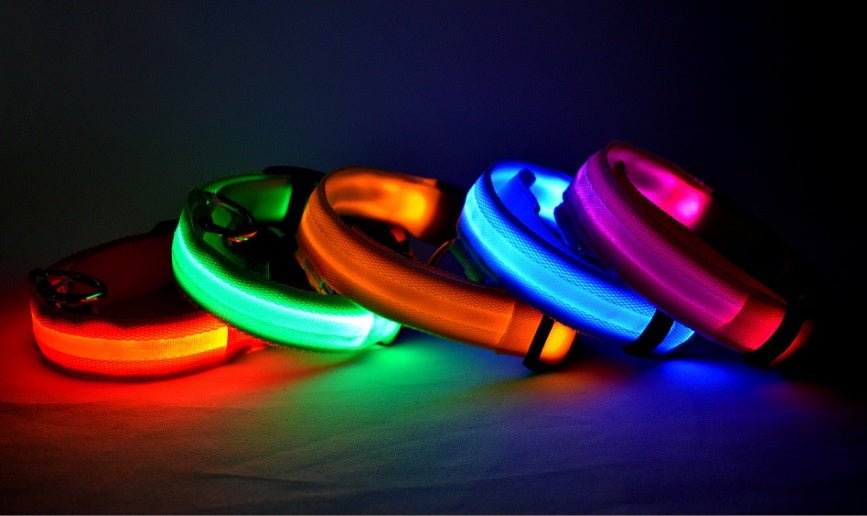 Luminous Dog Collar - Wholesale Electronics