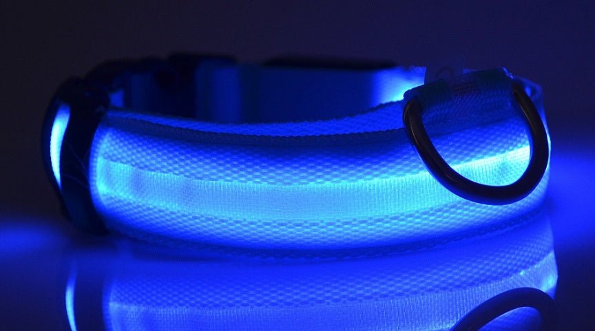 Luminous Dog Collar - Wholesale Electronics