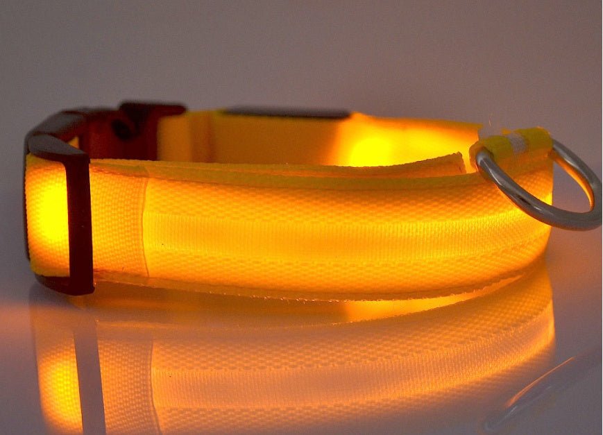 Luminous Dog Collar - Wholesale Electronics