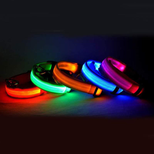 Luminous Dog Collar - Wholesale Electronics