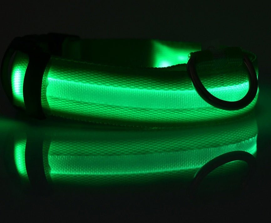 Luminous Dog Collar - Wholesale Electronics