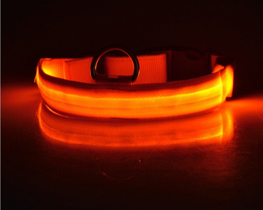 Luminous Dog Collar - Wholesale Electronics