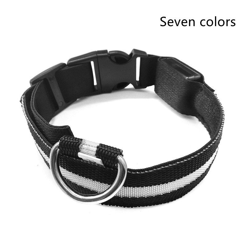 Luminous Dog Collar - Wholesale Electronics