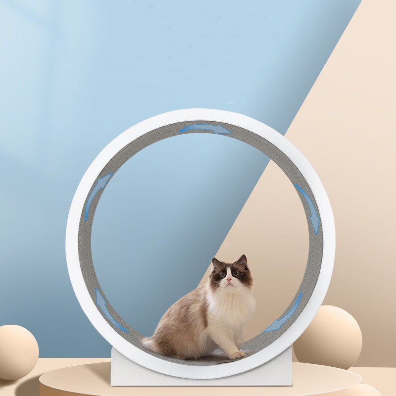 Stylish Running Wheel for Cats - Wholesale Electronics