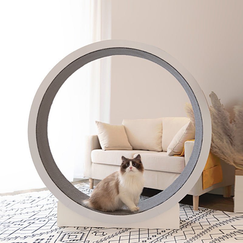 Stylish Running Wheel for Cats - Wholesale Electronics