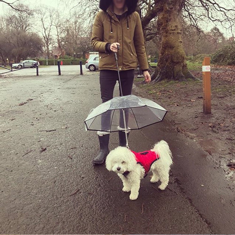 Transparent Pet Umbrella - Wholesale Electronics