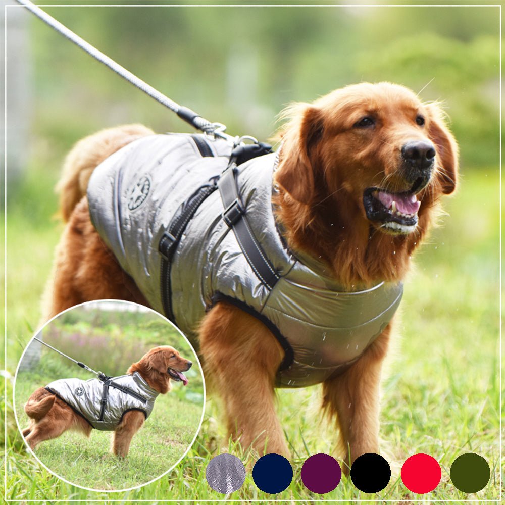 Waterproof Dog Clothe - Wholesale Electronics